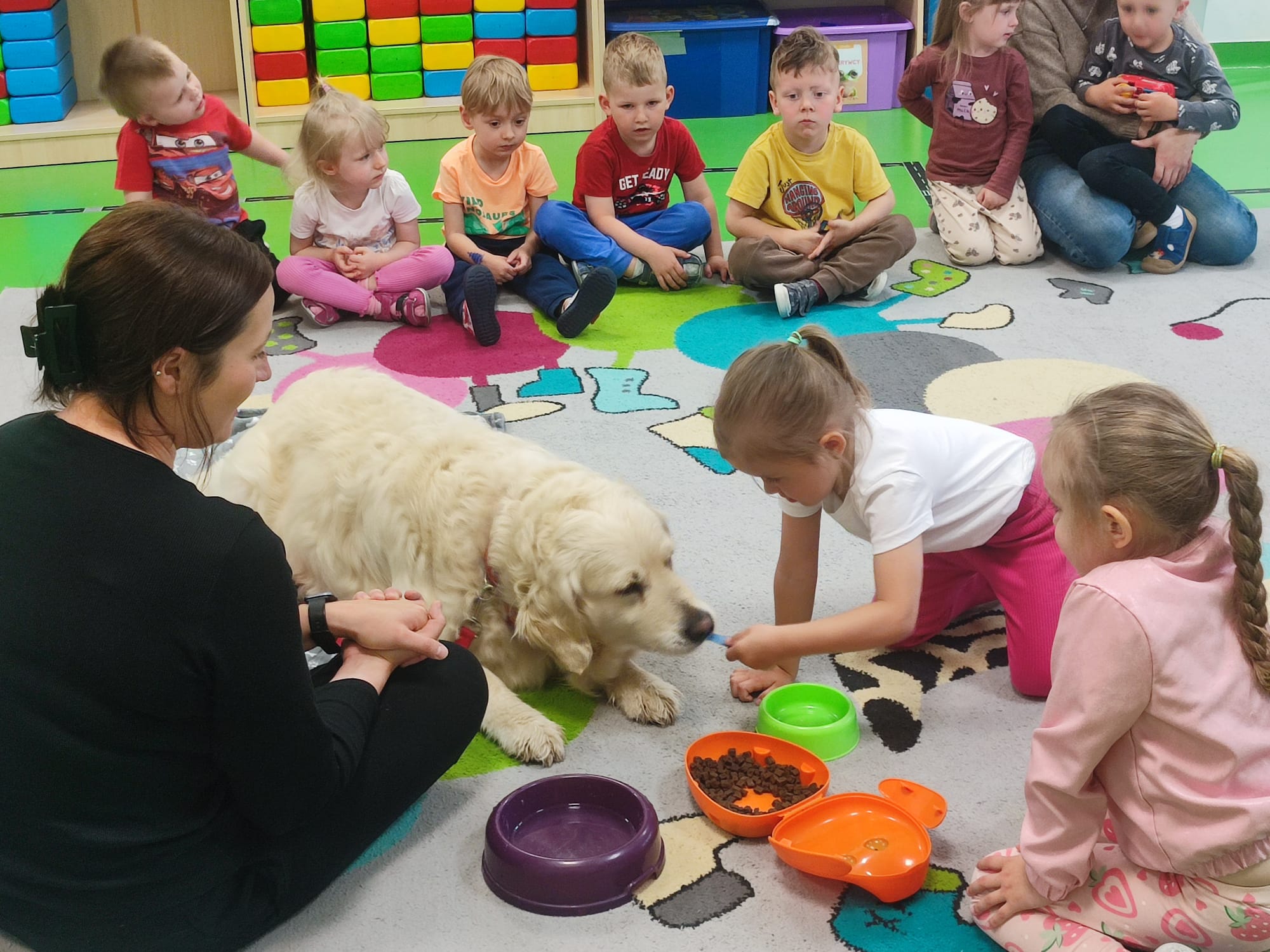  Osoba dorosła, dzieci i p...
